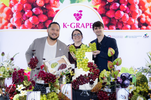 프리미엄 신품종 K-포도 런칭쇼 현장 모습