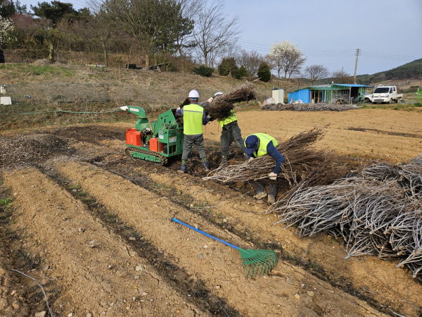 영농부산물 파쇄 모습.