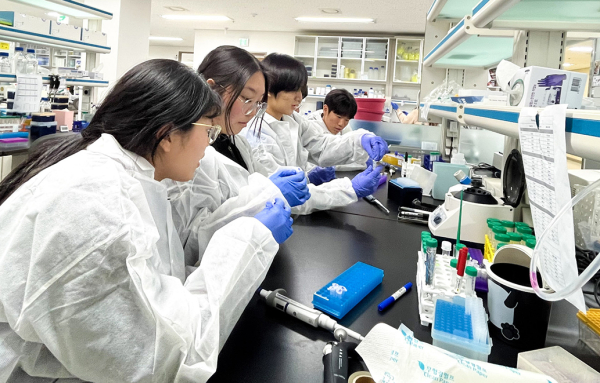‘2025년 순천향 Medi-Bio 캠프’에 참여한 학생들이 유전자 재조합 실험을 체험하고 있다.