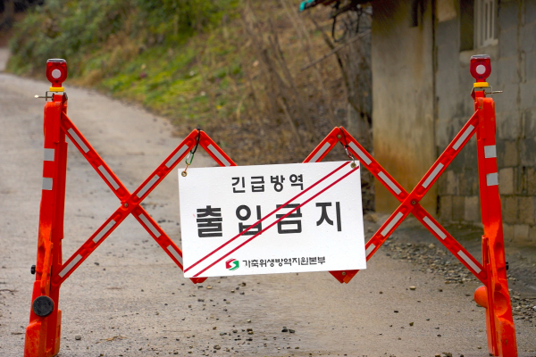 양돈농가 출입금지 표시