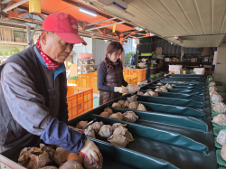 김학용 세종시과수연합회장