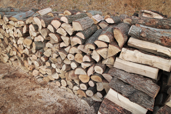 사랑의 땔감 나누기 행사