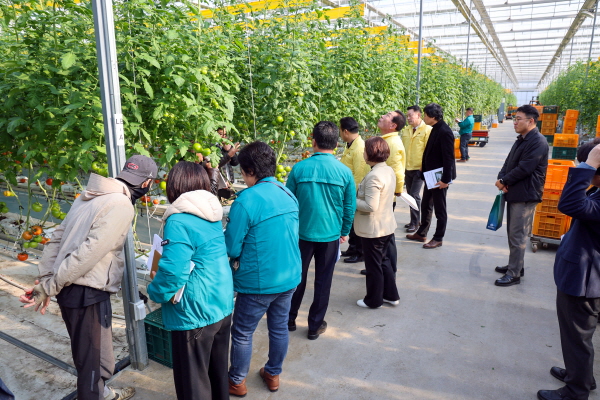 지난 1일, 송산면과 석문면 일원에서 현장점검 모습