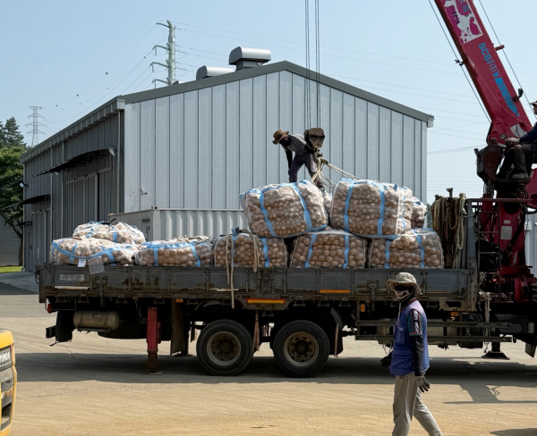 지역 농산물의 운송을 돕는 ‘수확 운송작업단 운영 지원 사업’ 추진 모습.