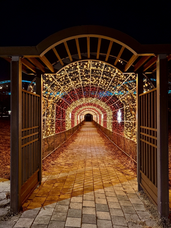 합강캠핑장 빛 터널 내부사진