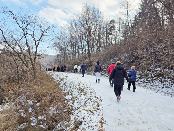 국가산림문화자산 프로그램 운영 모습