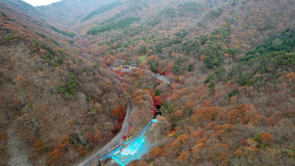 성주산 자연휴양림 모습