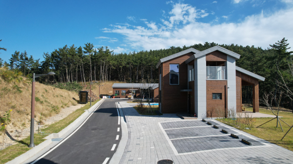 원산도 자연휴양림 모습