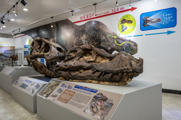 티라노사우루스 표본 ‘수(SUE, FMNH PR2081)’의 머리뼈 3D 출력 모형