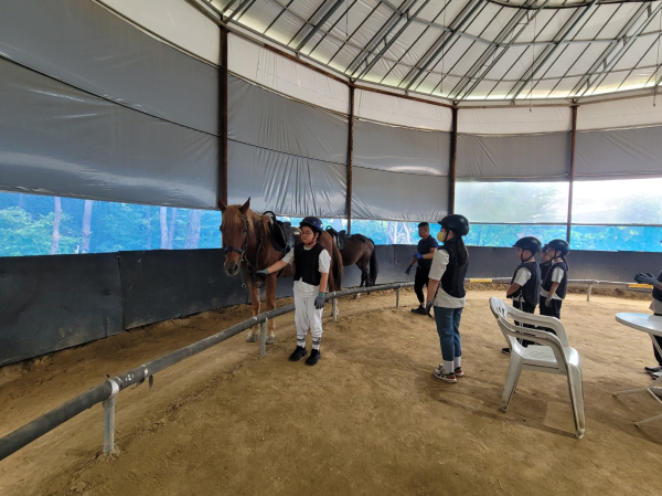 남선초-학교체육 승마교육