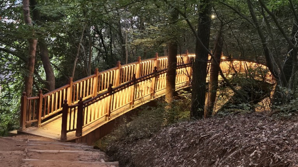 부춘산 등산로에 설치된 경관조명