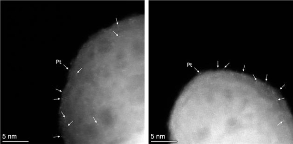 단일원자 백금(Pt) 입자의 전자현미경 사진.