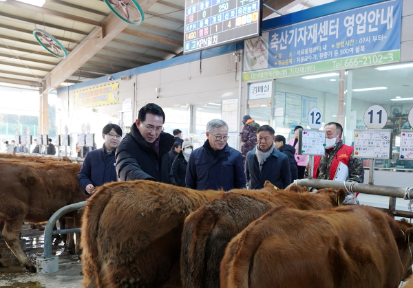 8일 음암면 상홍리 가축경매시장 모습