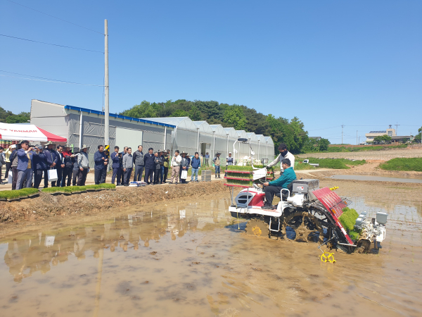 드문모 심기 이앙 연시회