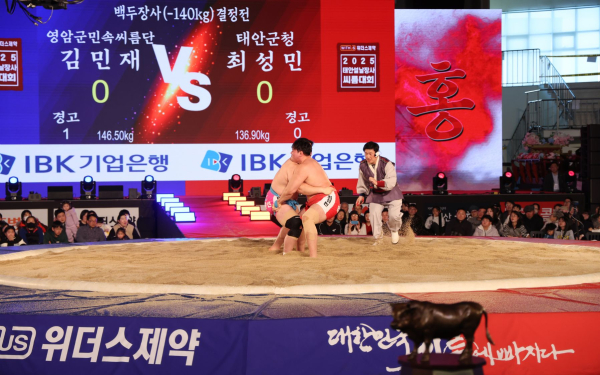 지난해 태안에서 열린 2025년 설날장사 씨름대회 경기 장면