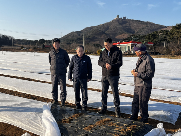 정해웅 본부장과 김기곤 대산농협 조합장이 서산시 대산읍 양파 재배 농가를 찾아 한파 관련 대책을 논의하고 있다.