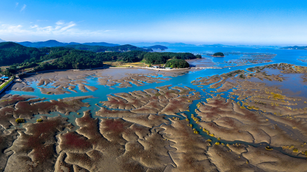 가로림만 갯벌 모습