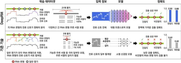 기존 RNA 변형 검출 기술과 DeepRM의 비교