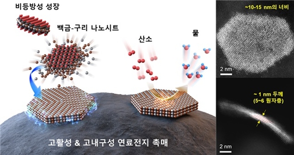 첨부3. 초박막 나노시트 합성 모식도와 제작된 촉매의 투과전자현미경 이미지