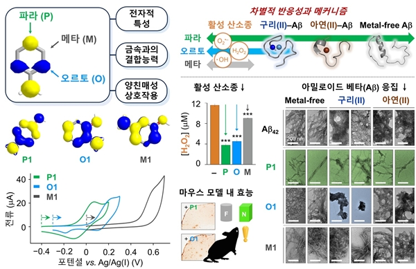 저분자 화합물의 위치 이성질체에 따른 알츠하이머병의 다중 발병 기전에 대한 차별적 반응성 및 메커니즘