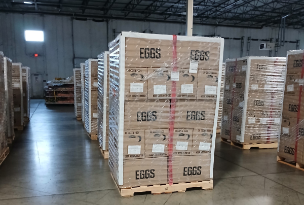 화물기 탑재 전 미국 신선란 공항창고 보관 사진