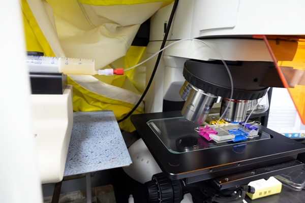 오염물 섞인 흙탕물을 미세유체칩에 흘려 오염물질을 추출하는 모습