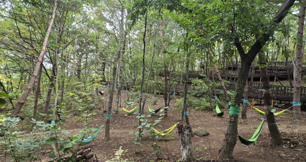 국립산림치유원 직무소진 캠프 참가자들이 프로그램 ‘숲에 안기다(해먹 체험)’를 체험하고 있다