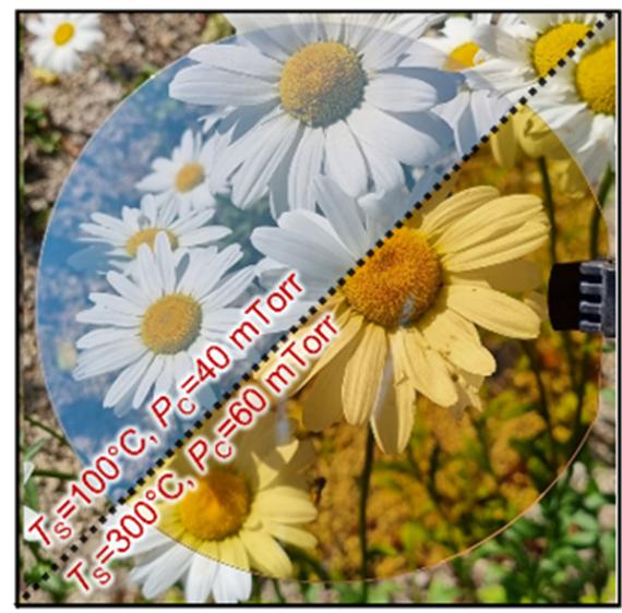 최적화된 투명한 실리콘과 기존 실리콘 비교