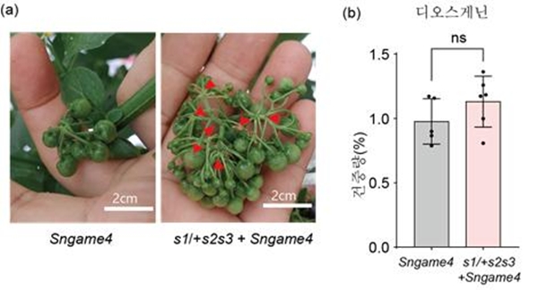 열매 강화라인에서 대사경로 재배열
