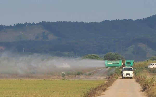 벼에 방제 약제가 살포되는 모습