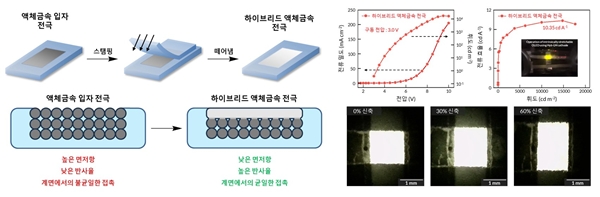 제시된 하이브리드 액체금속 전극의 구조 및 소자의 성능