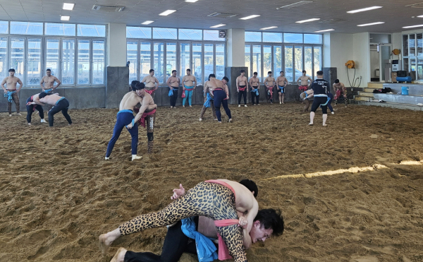 씨름전지훈련 모습