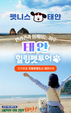 댕댕투어 포스터