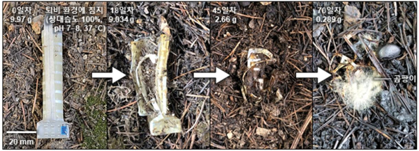 소프트 로봇 손가락의 생분해 과정