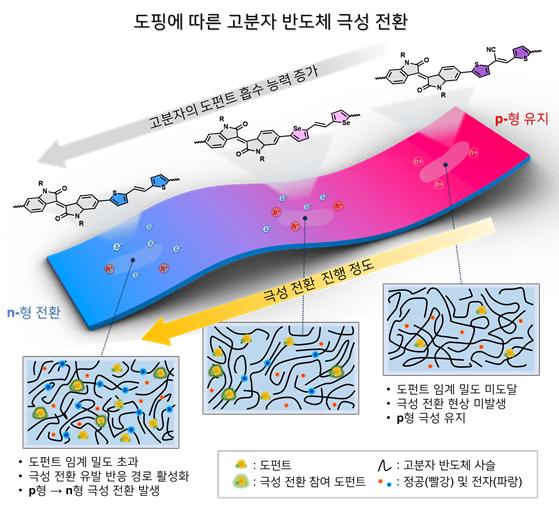 도펀트 흡수 능력에 따른 고분자 반도체의 p형·n형 극성 전환 과정 모식도