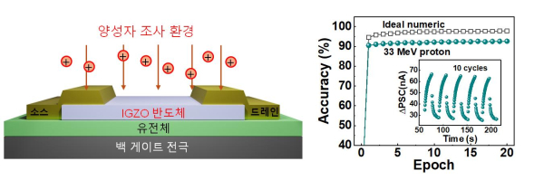 주항공용 AI 뉴로모픽 반도체의 양성자 조사 후 인식률 검증 모식도