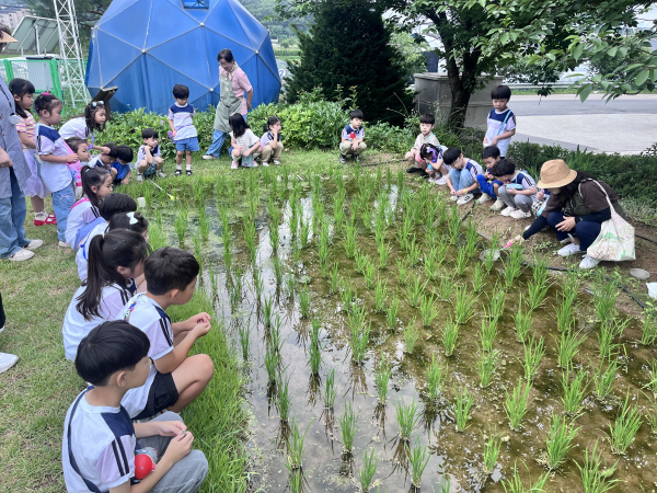 어린이 농부학교 교육사진