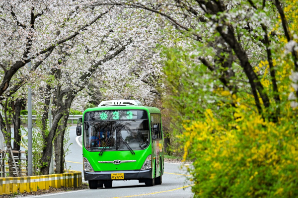 지난해 산서로 모습