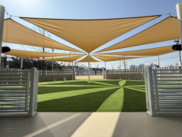 대전 중구 반려견 에너지파크 시설개선 완료 사진