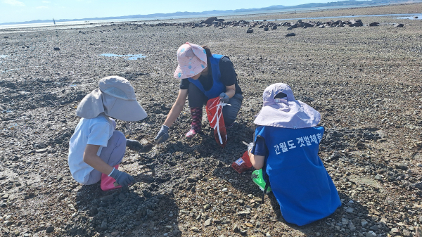 지난해 간월도 일원에서 바지락 캐기 체험을 즐기는 참여자 모습
