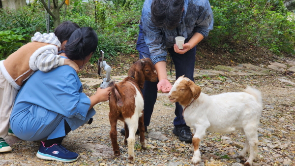 팜앤팜치유정원
