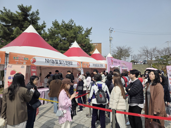 논산딸기축제 행사장에서 소비촉진활동을 진행 중인 모습