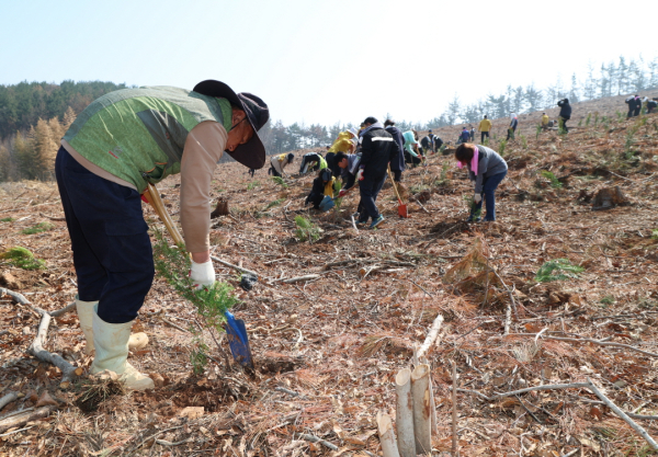 지난 2일 열린 제81회 식목일 행사 모습.