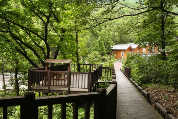 국립칠곡숲체원 다누리길 전경사진.