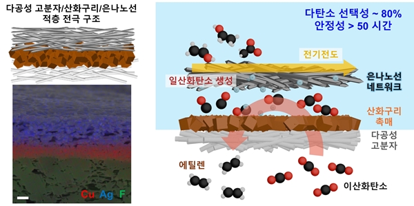 다공성 고분자산화구리 촉매은 나노선 네트워크 전극 구조 모식도