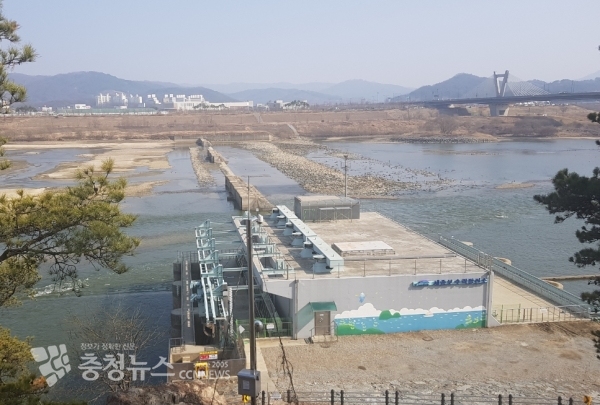 세종보 수문 개방후