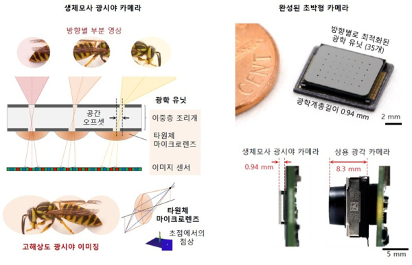 곤충의 겹눈 시각 원리를 모사한 카메라 구조 개념도와 제작된 초박형 카메라 사진
