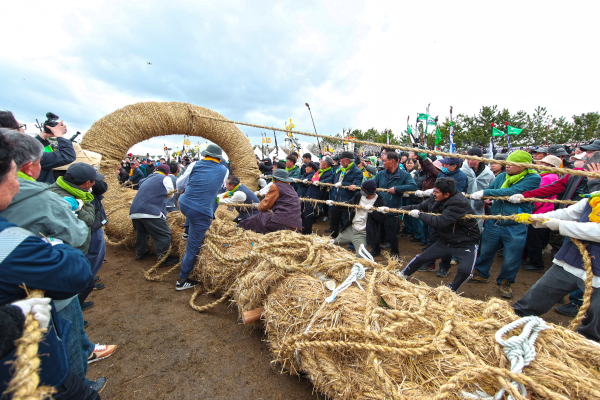 지난 2025 기지시줄다리기 본행사 모습