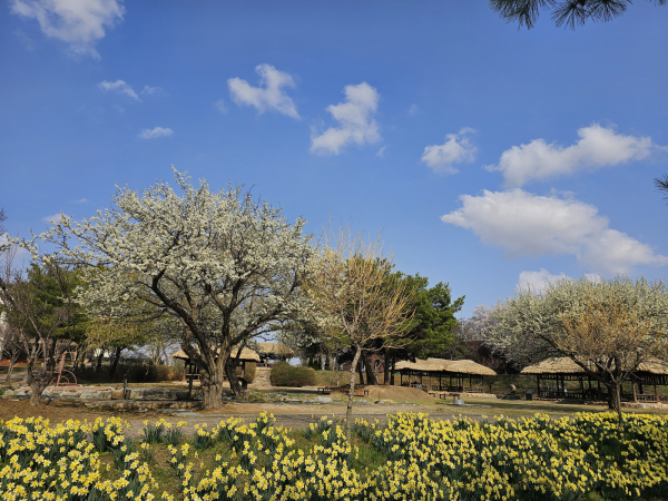 당진 합덕제 전경