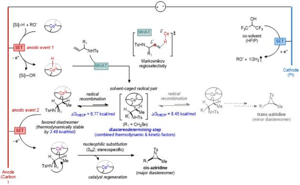 반응 시스템에 대한 도식